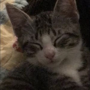 Meet your Posher, Alexia